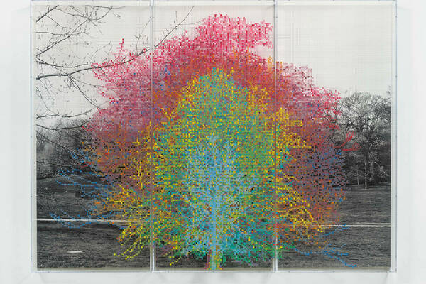 black and white photograph of trees in a park setting, with layers of color-- blue, green, yellow, and pink-- emanating from the center of one tree