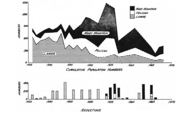 Graph showing the decline in bison populations from 1936-168