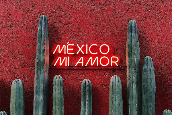 Image of neon sign that reads "Mexico mi amor," framed by cactuses