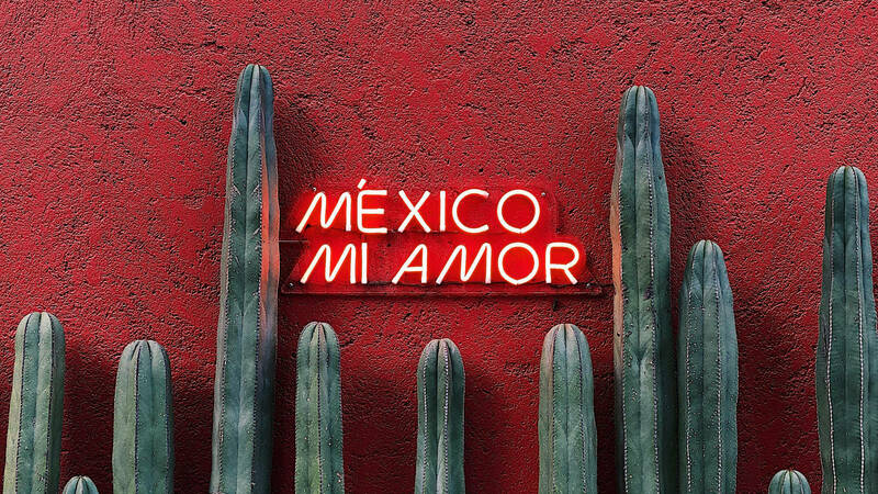 Image of neon sign that reads &quot;Mexico mi amor,&quot; framed by cactuses